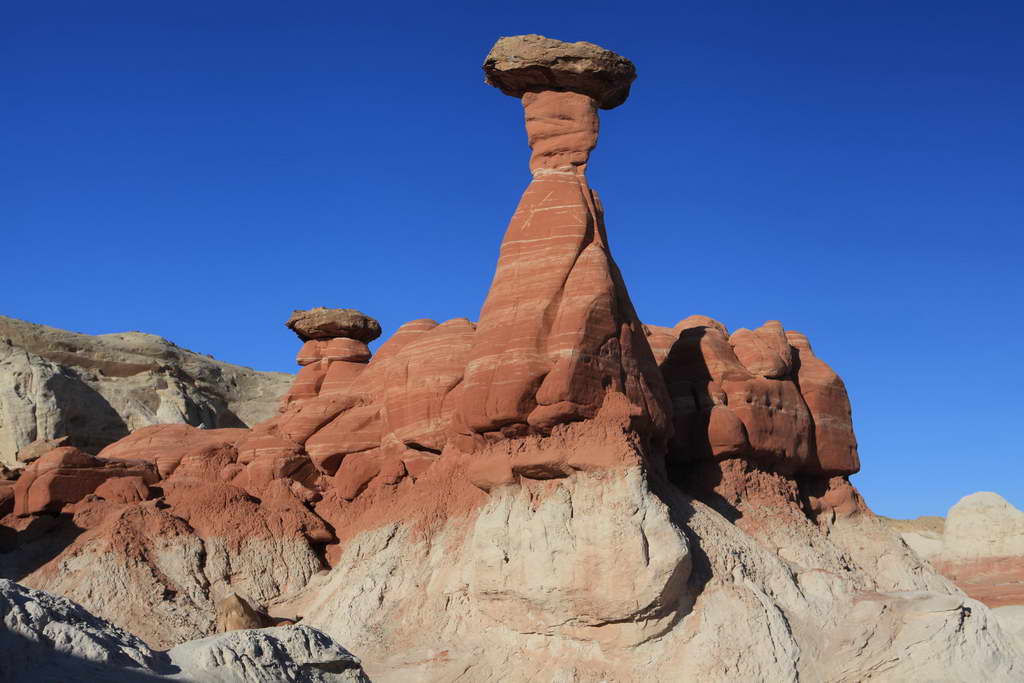 Toadstool Hoodoo